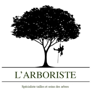 photo de profil de L’arboriste