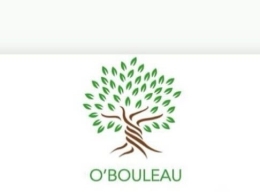 photo de profile de O'Bouleau