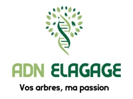 photo de profile de EI ADN ELAGAGE